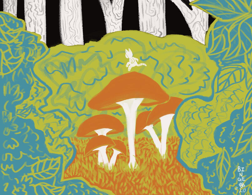 Cat Landscapes 2 of 6 (2020)