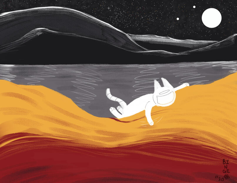 Cat Landscapes 1 of 6 (2020)