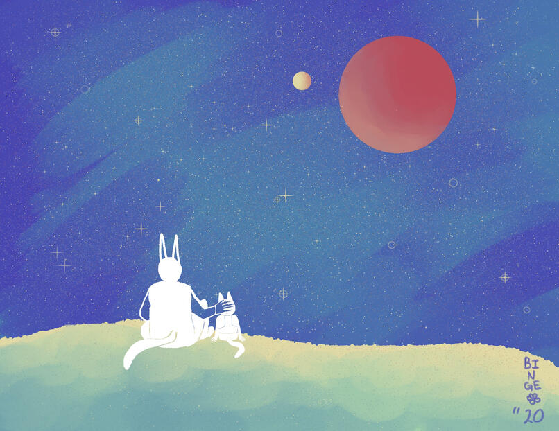 Cat Landscapes 6 of 6 (2020)